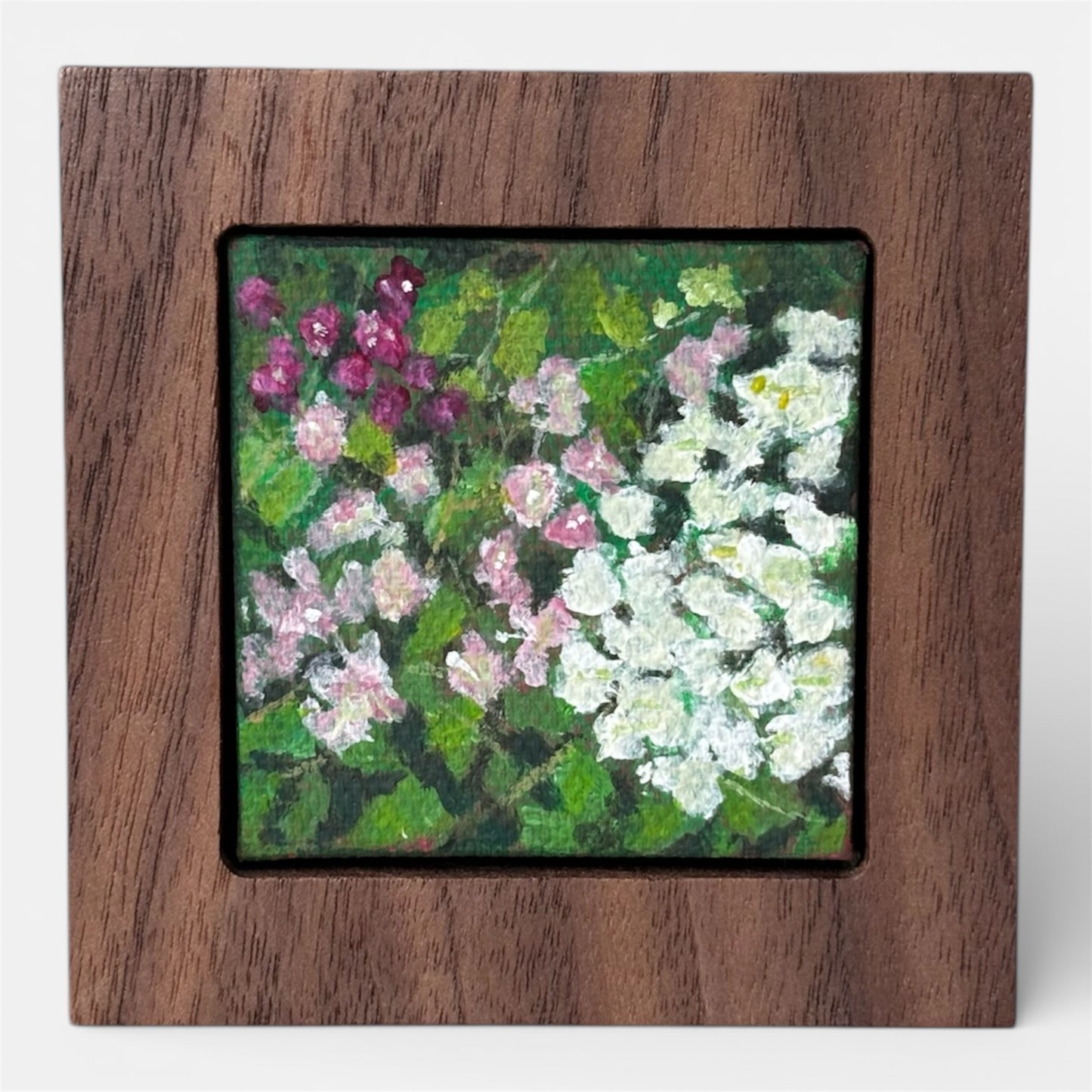 Bougainvillea - 2025 - No. 15