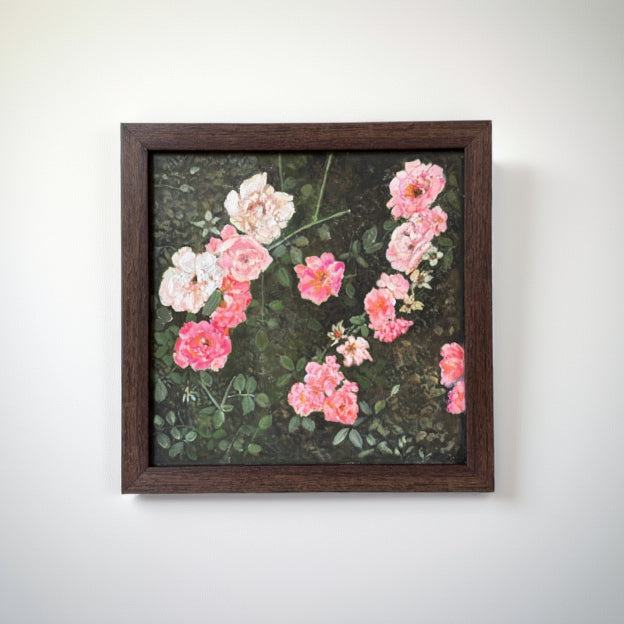 Shades of Pink - 2025 - No. 01