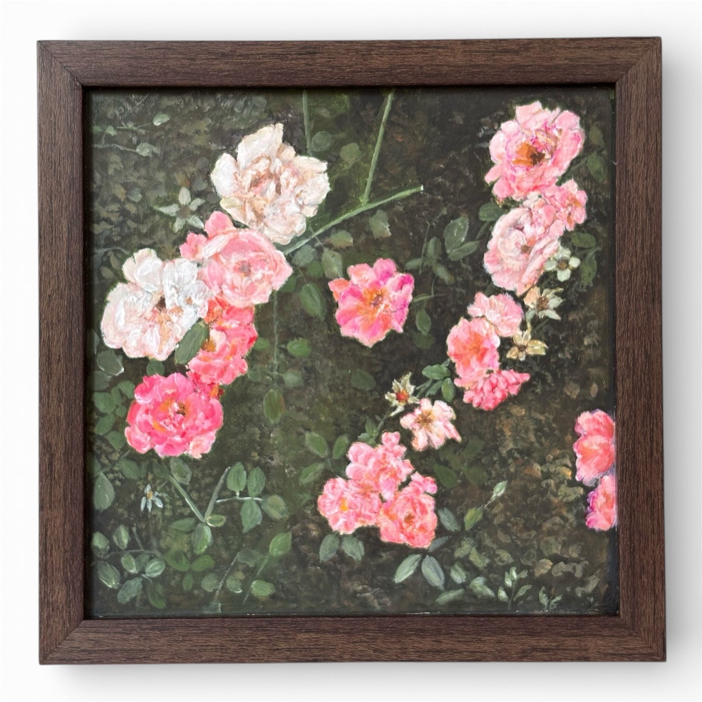 Shades of Pink - 2025 - No. 01