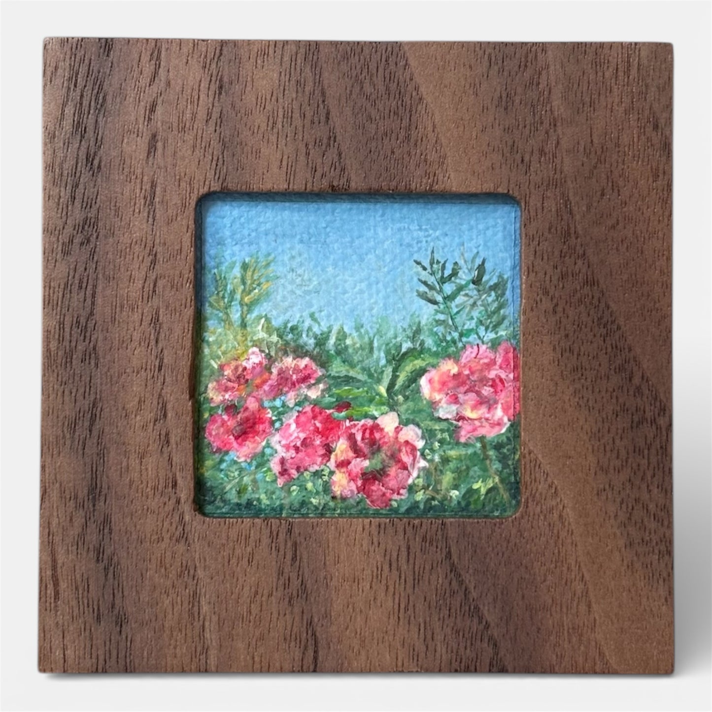 Oleander - 2025 - No. 05