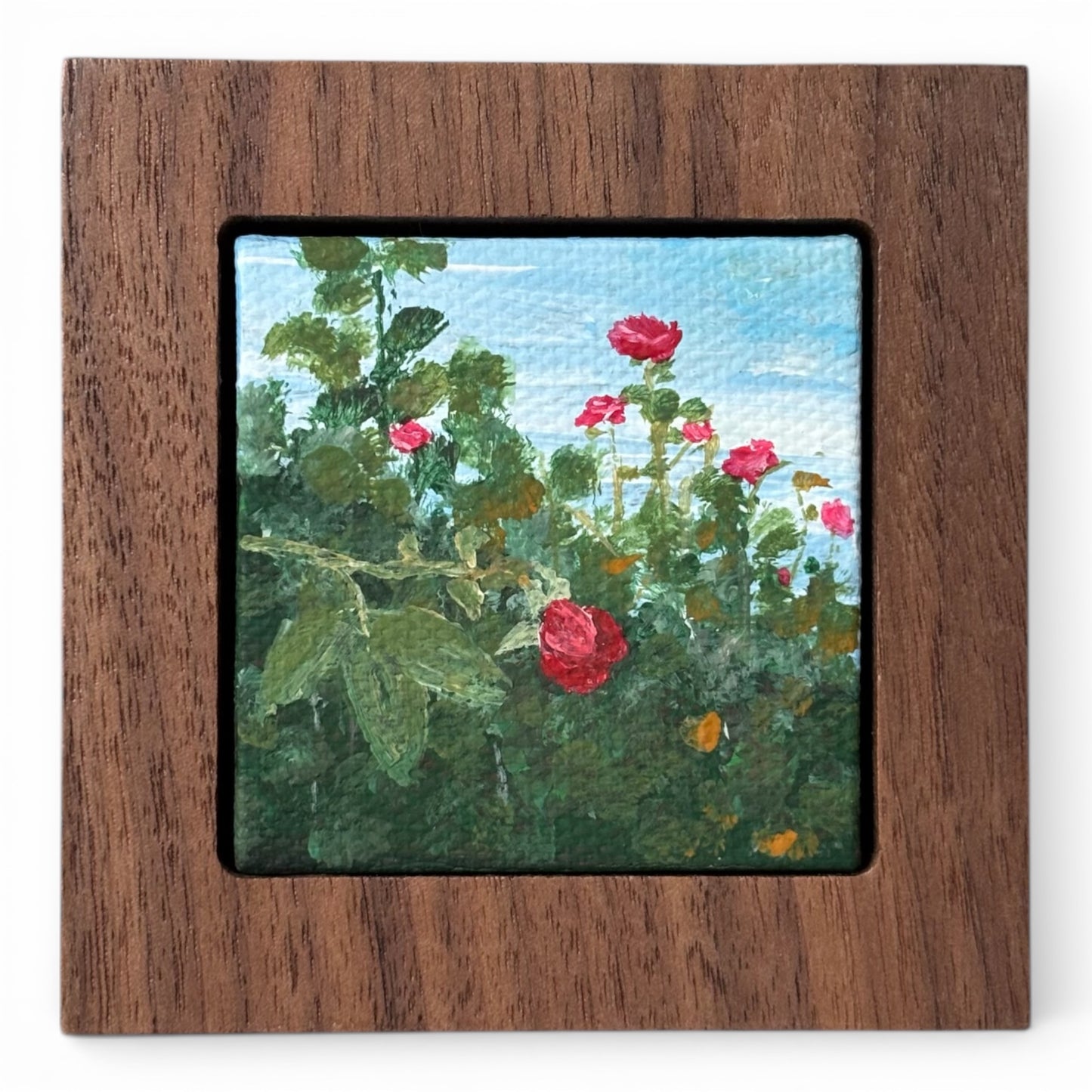 In Love with roses - 2025 - No. 35