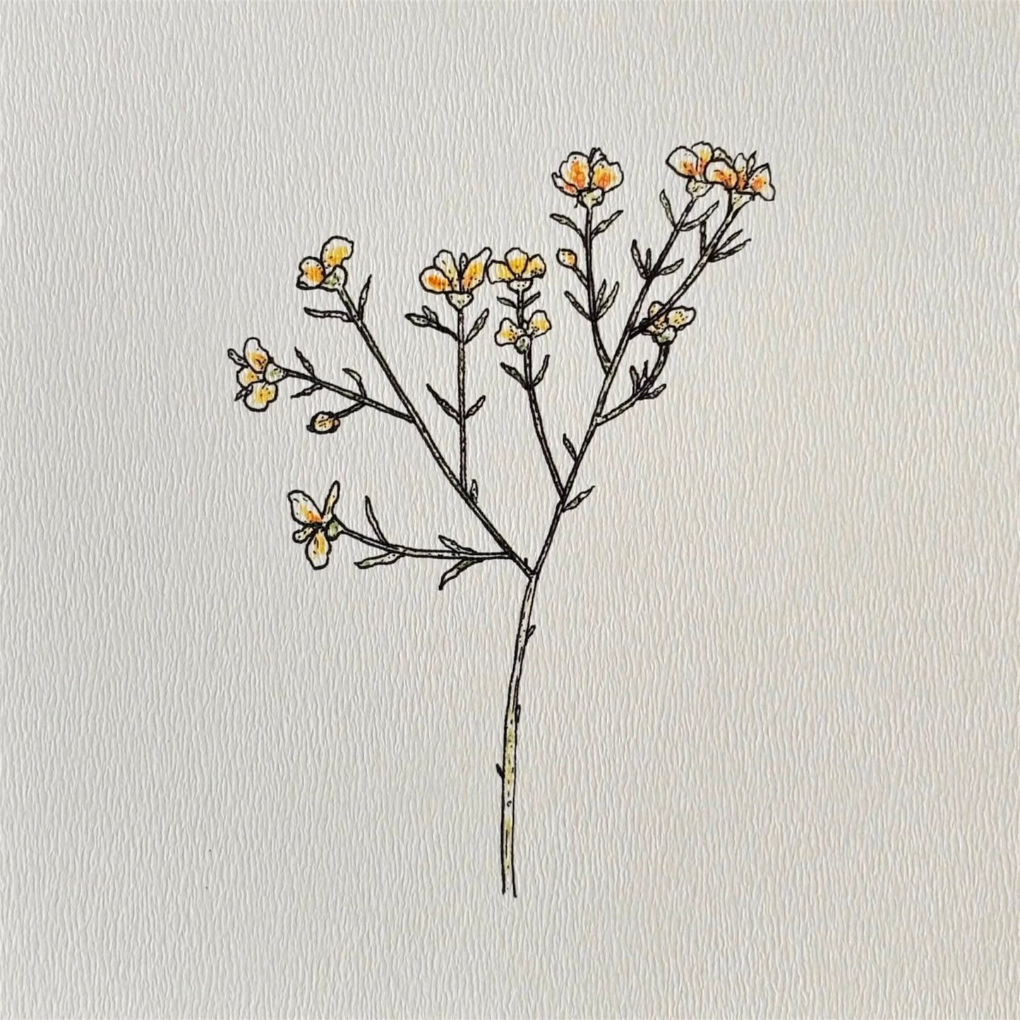 Pen & Ink - 2021 - No. 65 (Art Print)