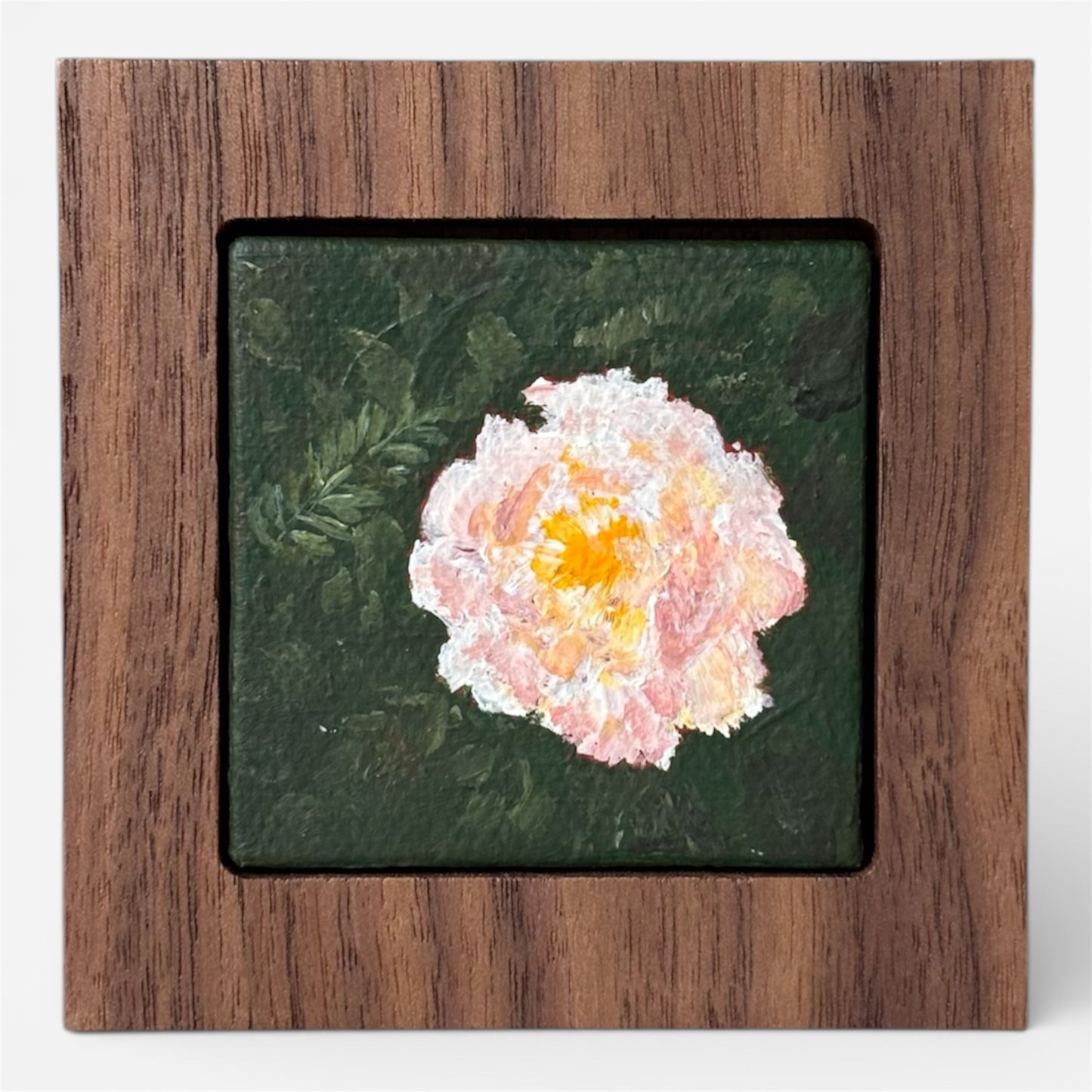 Colorful Rose - 2025 - No. 48