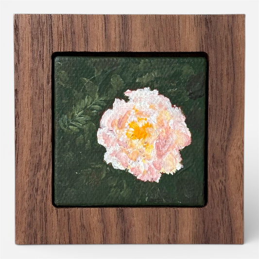 Colorful Rose - 2025 - No. 48