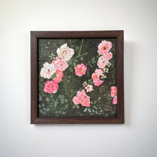 Shades of Pink - 2025 - No. 01