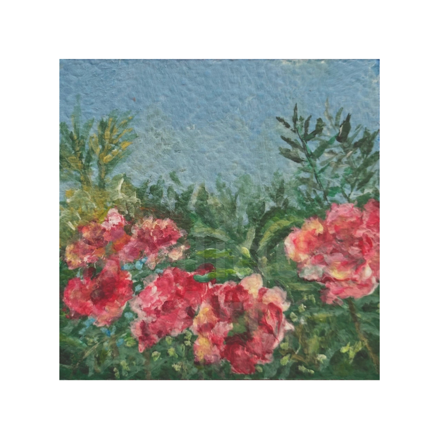 Oleander - 2025 - No. 05
