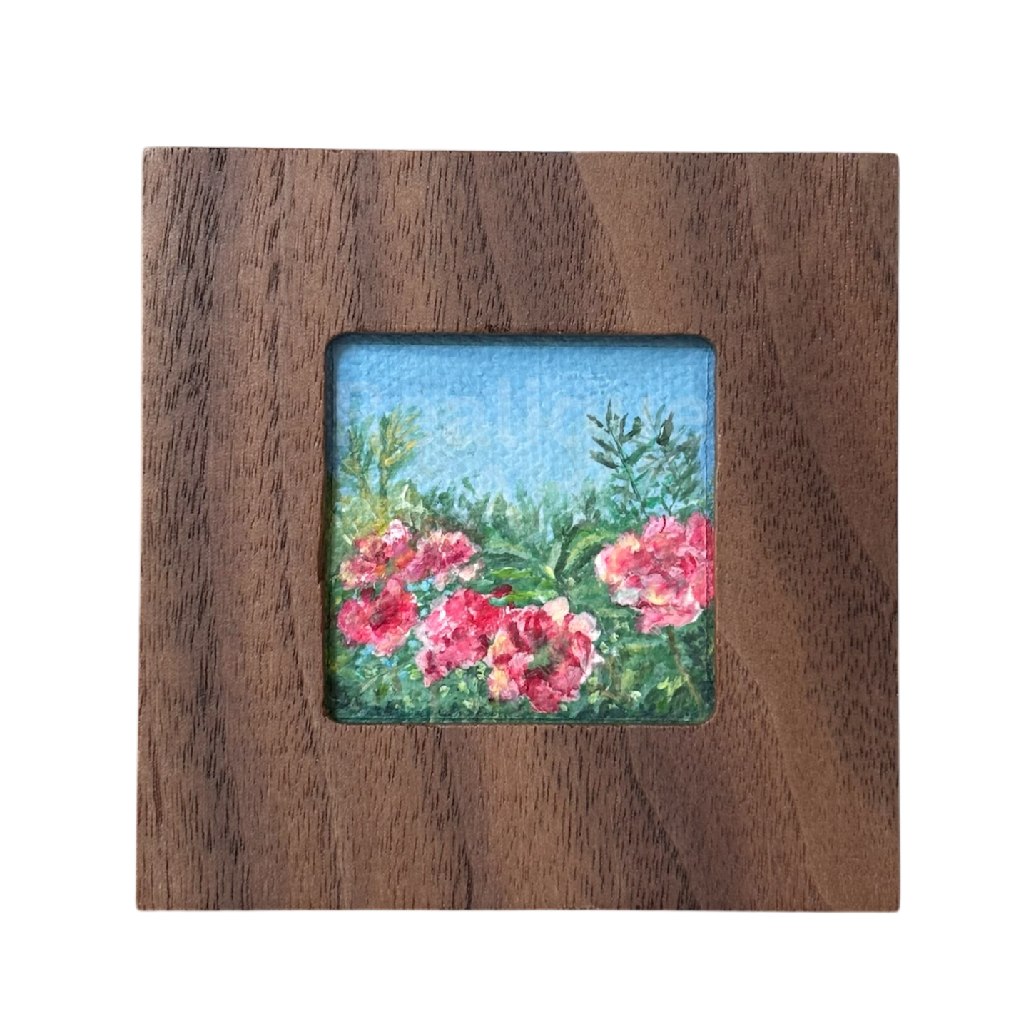 Oleander - 2025 - No. 05